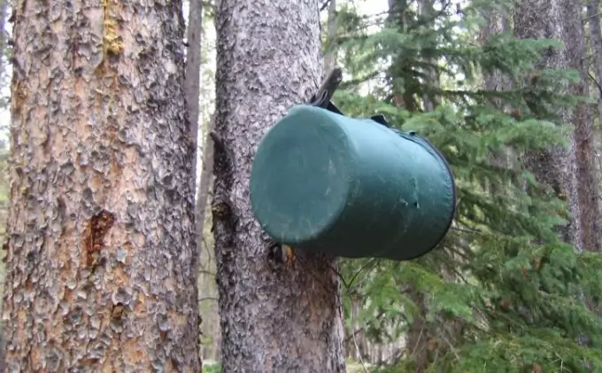 Bear Canister Hanging on a Tree