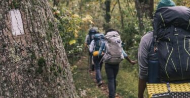 group of young people hiking in the woods