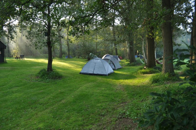 picture of tents in the woods