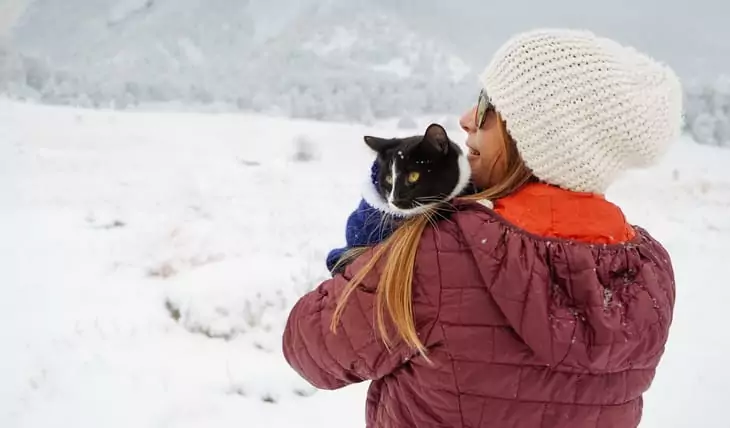A hiking cat on a woman's shoulder