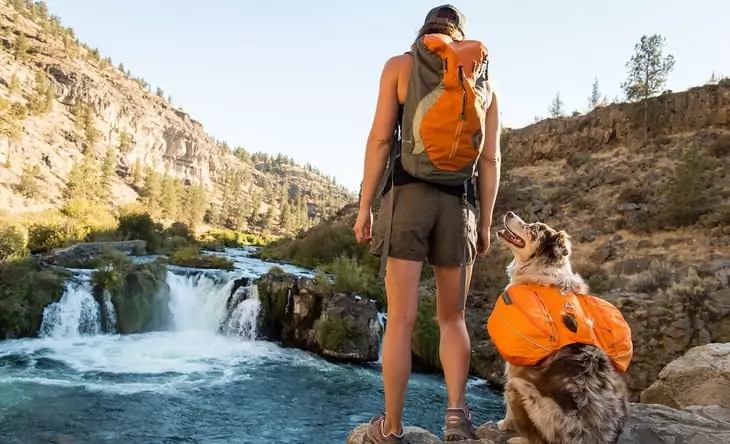A dog and a hiker with backpacks looking at each other