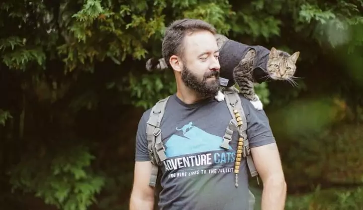 A man hiking with cats