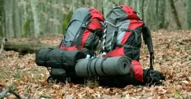 Awesome backpacks for traveling in the leaves