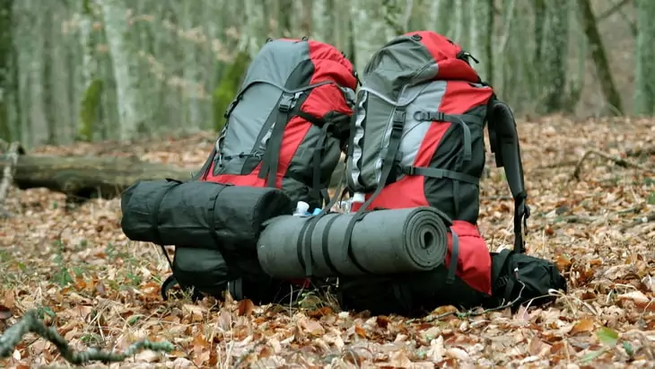 Awesome backpacks for traveling in the leaves
