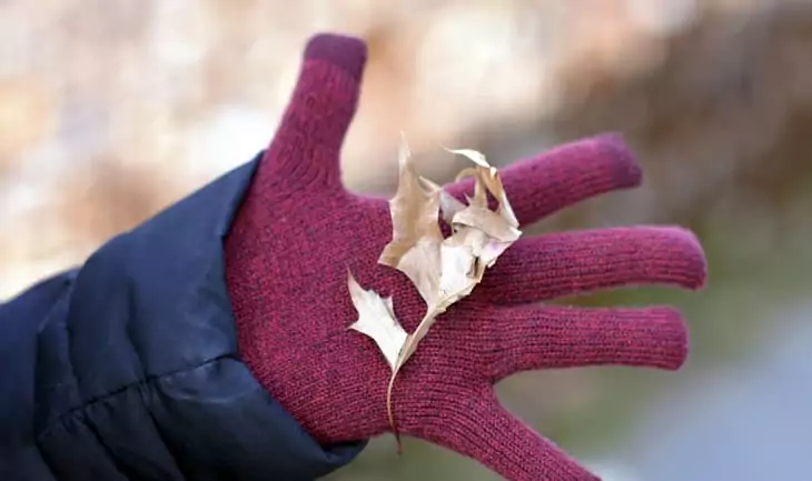 Leaf in hand with red glove.