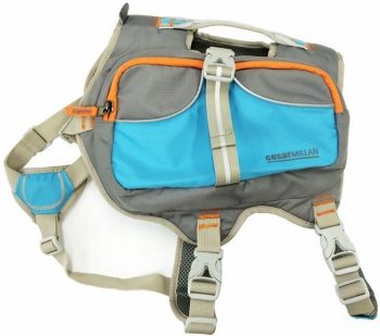 Cesar Milan Dog Backpack