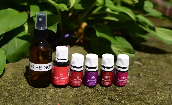 DIY Essential Oil Bug Spray