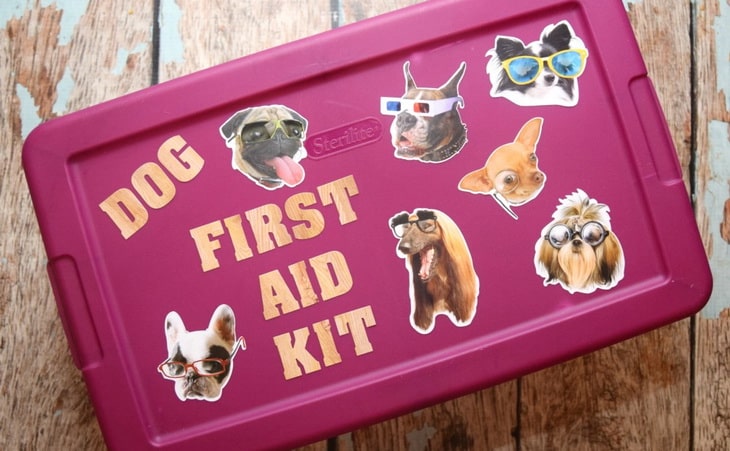 Dog First Aid Kit