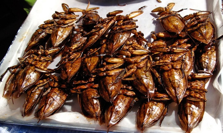 Eating Fried Insects