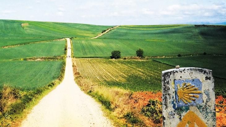 El camino de Santiago