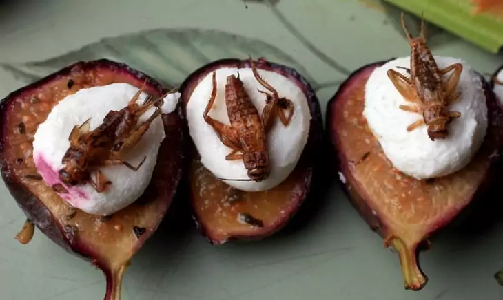 Figs with goat cheese and crickets