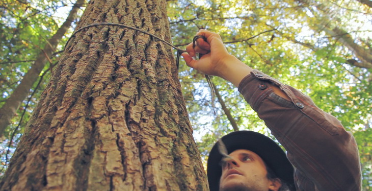 A Man Bearbagging with The Two tree method