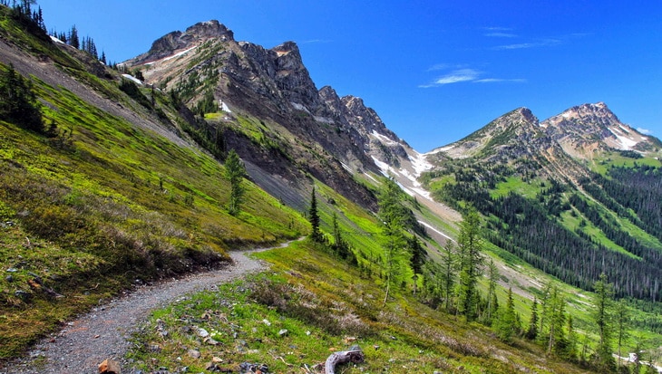 Pacific Crest Trail View