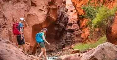 Two adults hiking in daylight