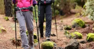 Couple Hiking in the Summer