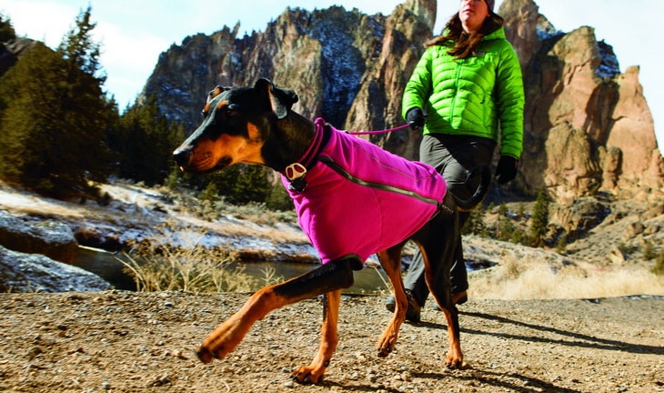 Ruffwear dog wearing a warm winter accesories