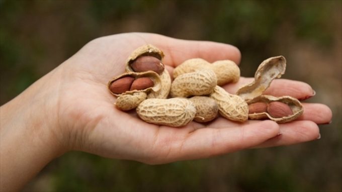 handful of peanuts