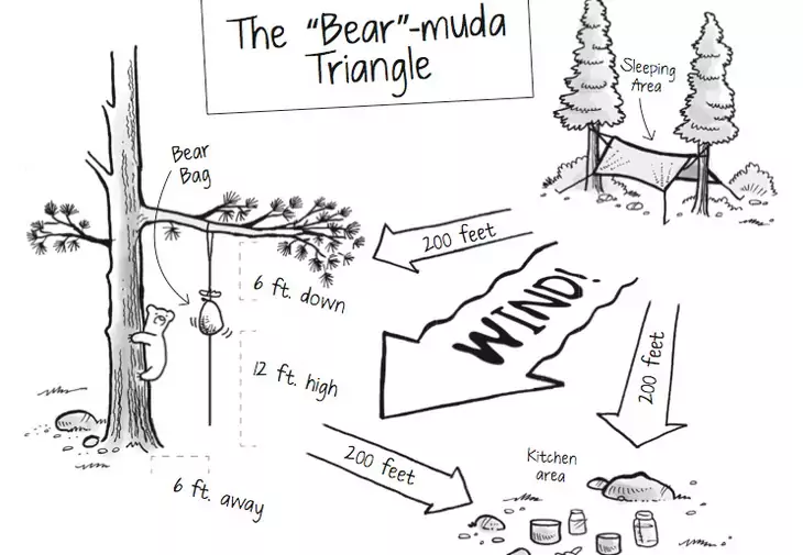 bear-muda-triangle-bear-bag