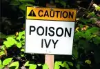caution-poison-ivy