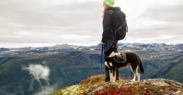 hiker with her dog on top of mountains