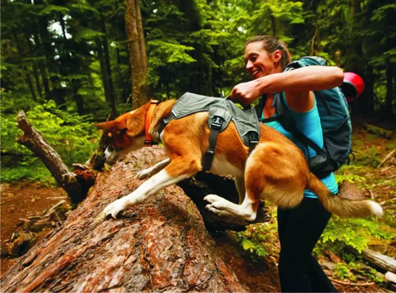 girl-with-a-dog-hiking