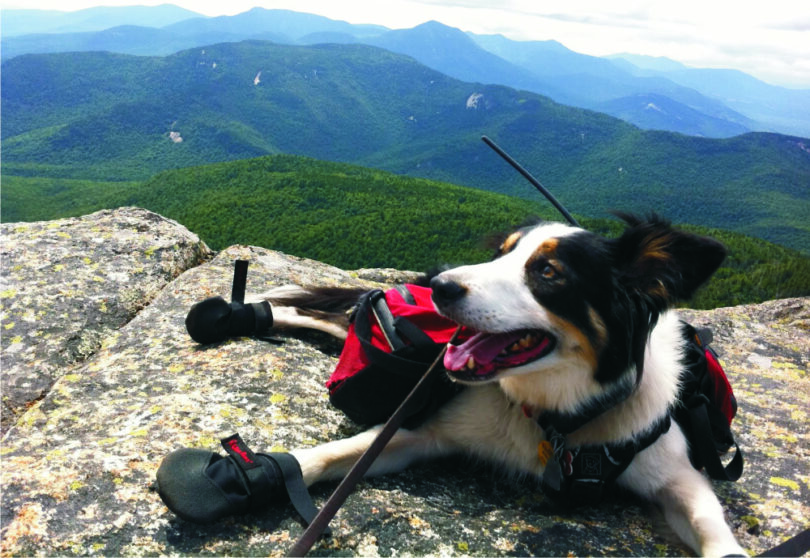 hiking-bog-boots