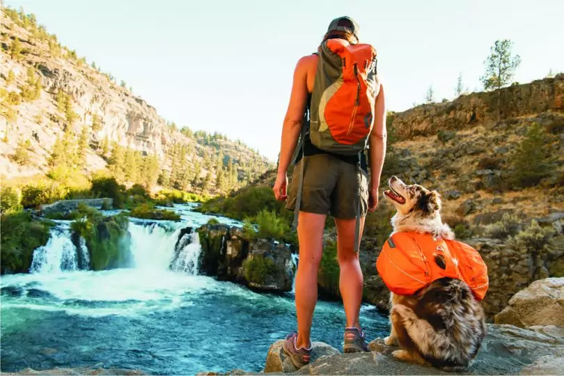 person-hiking-with-a-dog