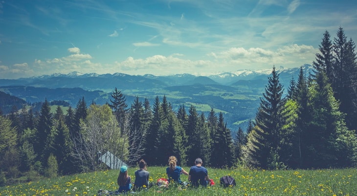 People Sitting on Green Grass