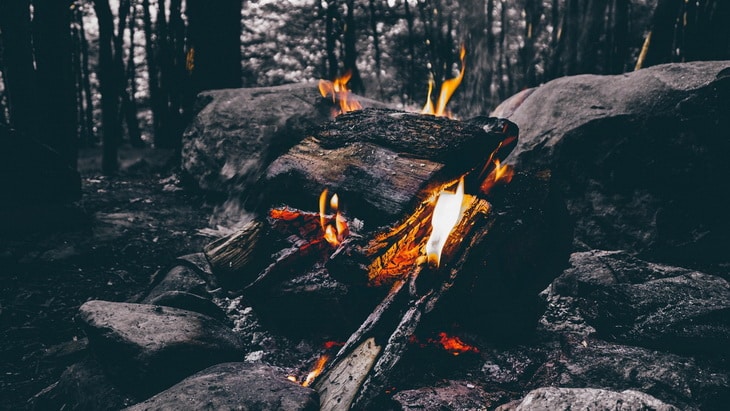 Wood Fire Camping on Forest