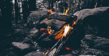 Wood Fire Camping on Forest