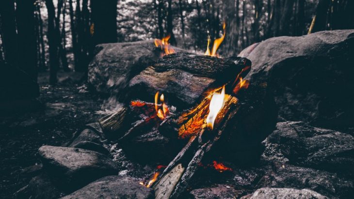 Wood Fire Camping on Forest