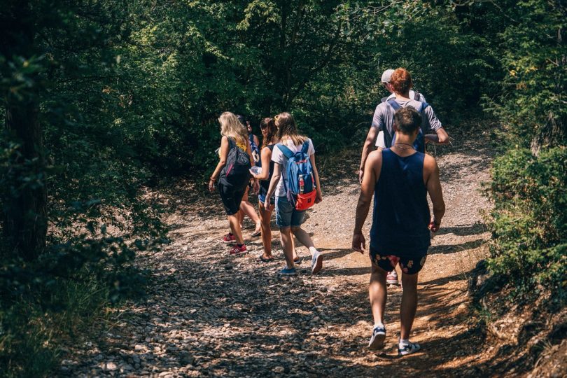 People Walking on Dirt Path in Forest at Daytime