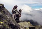 A hiker and his best friend, a siberian husky