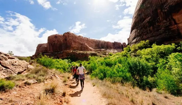 Group of People Waking on Road With Brown Grass and Green Plants and Brown Mountains during Daytime