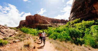 Group of People Waking on Road With Brown Grass and Green Plants and Brown Mountains during Daytime