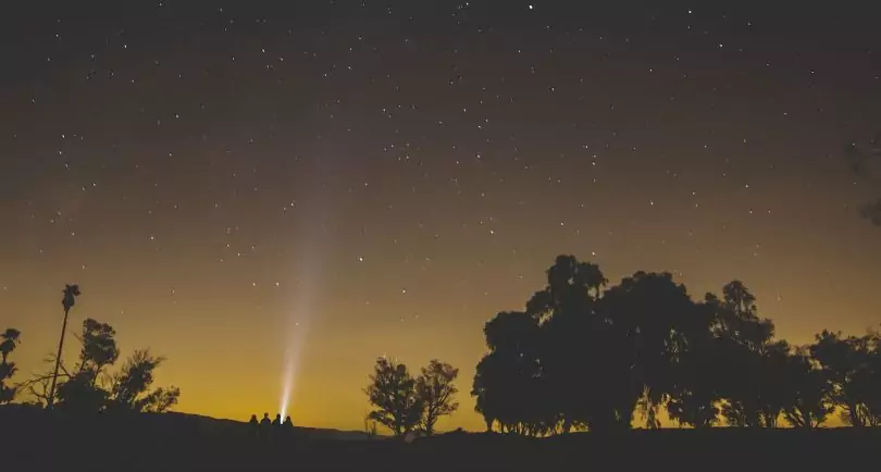 group of people in the nature with a flashlight during the night time