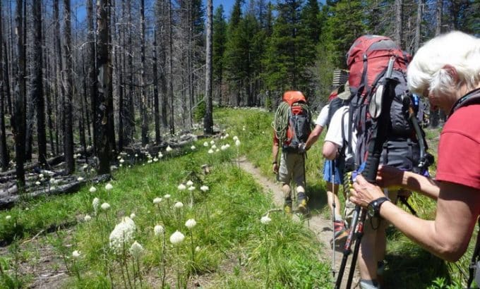 difference between internal and external frame backpacks