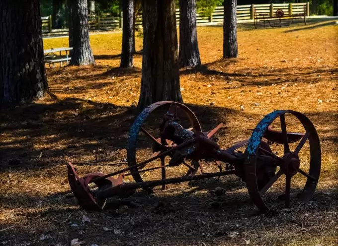 Oak Mountain State Park - Pelham, AL