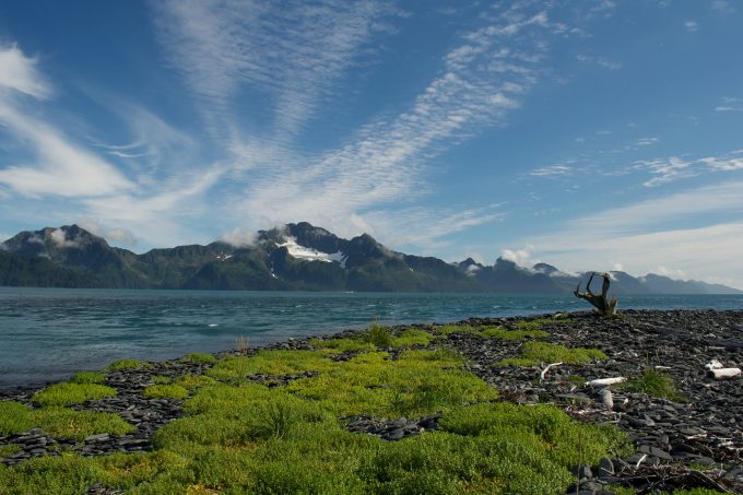 Kenai Fjords Eligible Wilderness