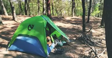 A dog in Nemo Hornet 2P tent in the forest