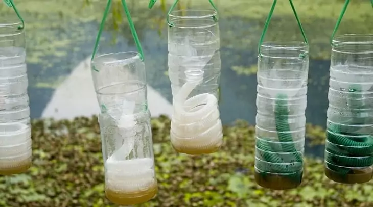 Mosquito Homemade Traps