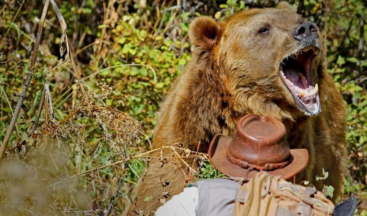 Bear-has identified a man presence and its intention is to attack