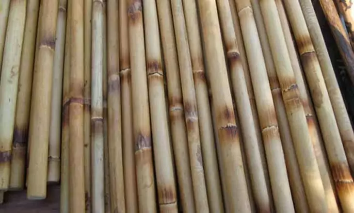 Burning rattan sticks