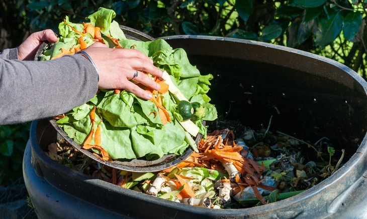 Composting the Kitchen Waste