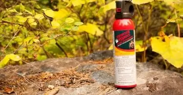 Does Bear Spray Work