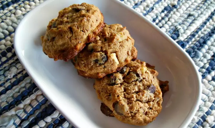 Good Old Raisin and Peanuts Honey Cookies.