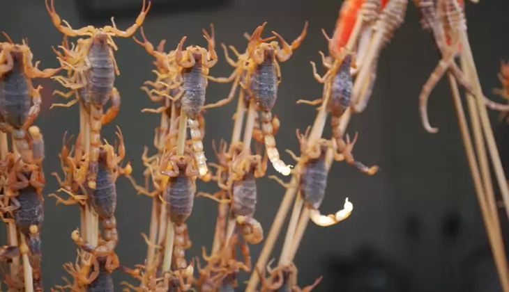 Many of us have a cognitive bias toward eating scorpions