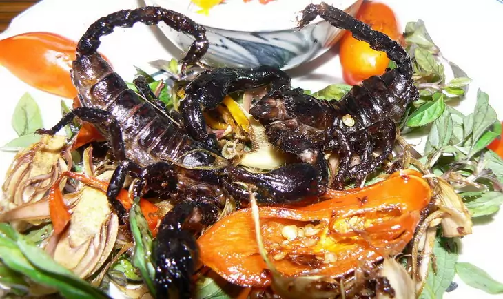 Scorpions on plate ready to be eaten