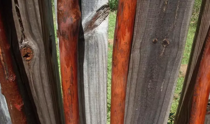 Sealing and staining the walking stick