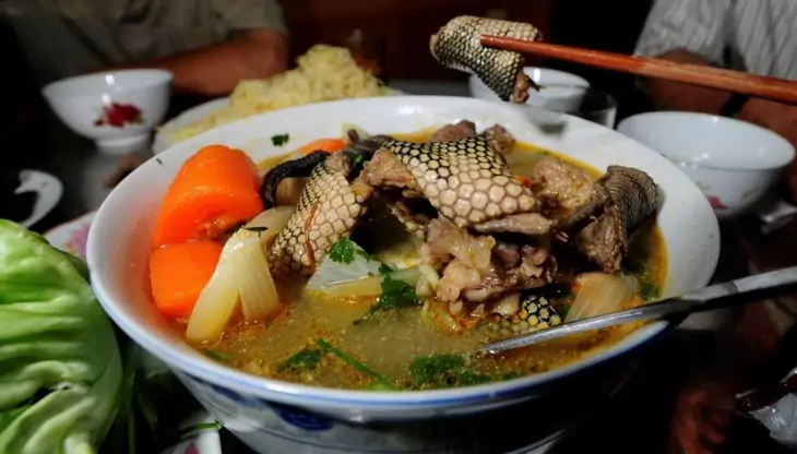 Tasty sea snake soup